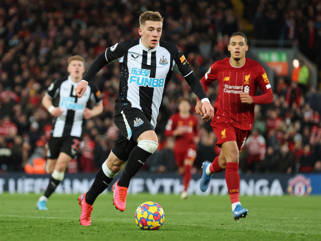 的佼佼者 的佼佼者